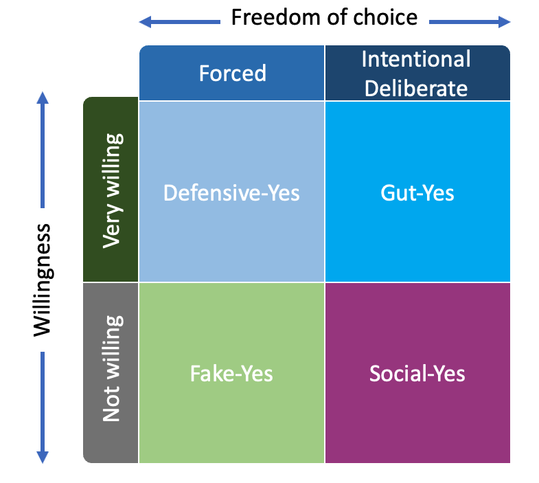 Anssof Matrix of YES