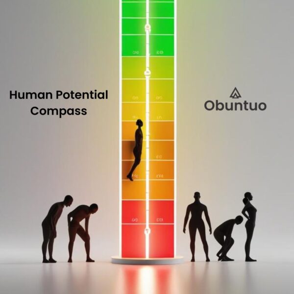 Human Potential Meter - Compass