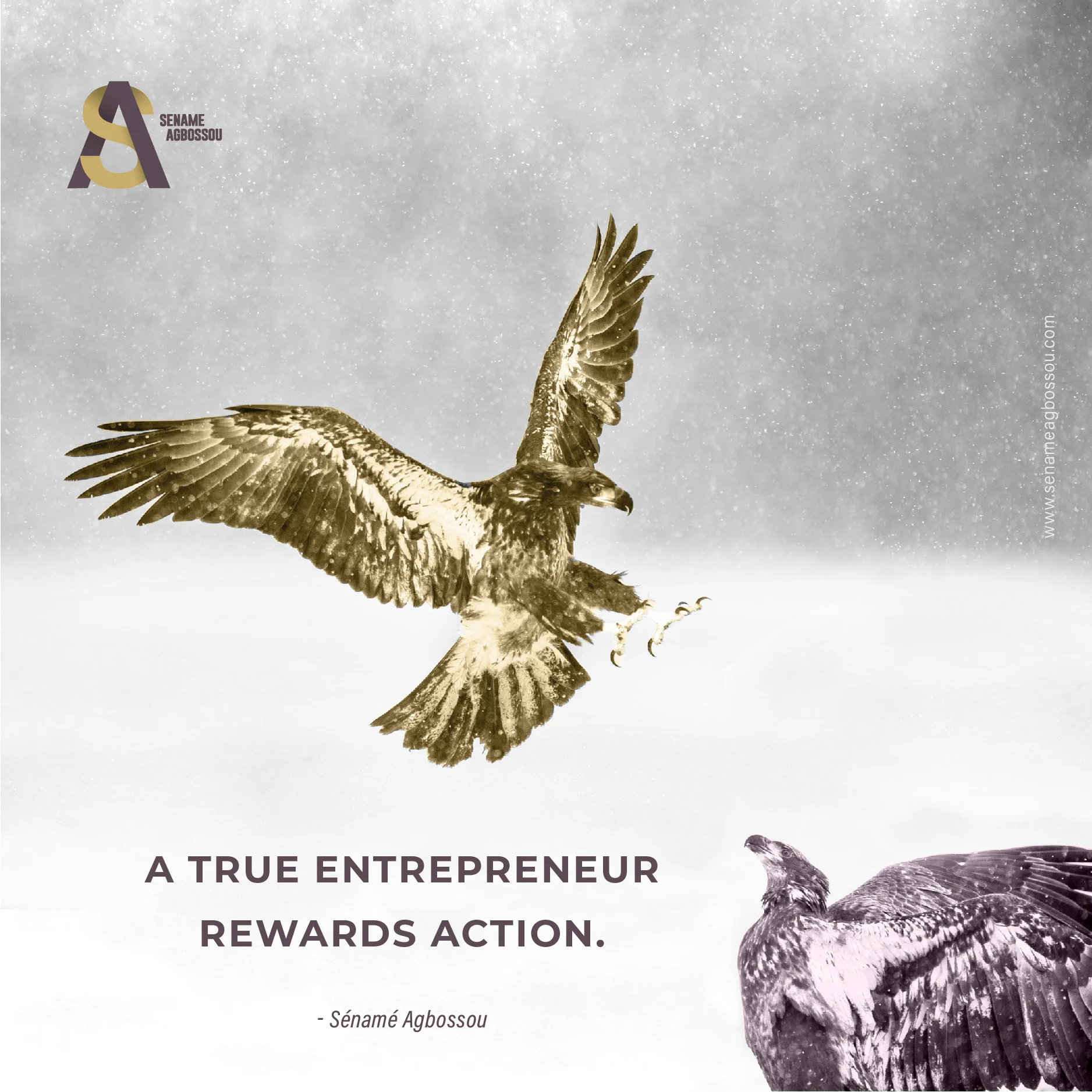 You are currently viewing A True Entrepreneur Rewards Action