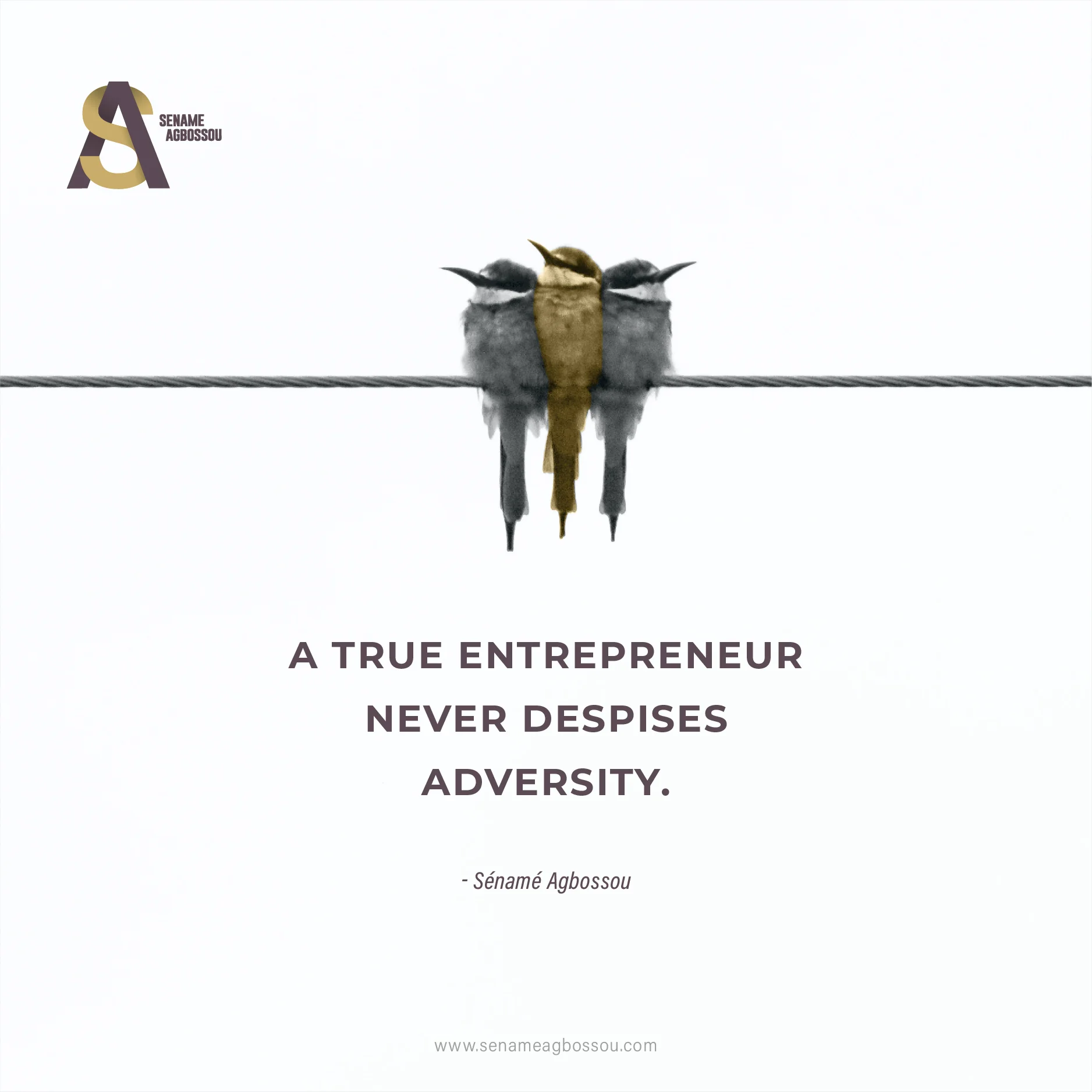 Lire la suite à propos de l’article A True Entrepreneur Never Despises Adversity